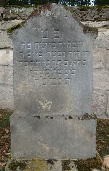 Datei:GS 73 aut-0005 Vs 20231004 by H. Habel neu.jpg