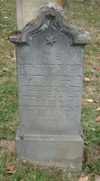 Datei:GS 39 aut-0062 Vs 20231005 by H. Habel neu.jpg