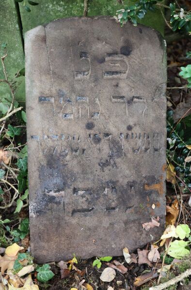 Datei:Cogl-077 IsraelDrattler-Foto-04 neu.jpg