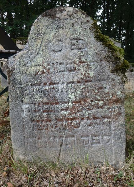 Datei:GS 13 aut-0040 Vs 20231004 by H. Habel neu.jpg