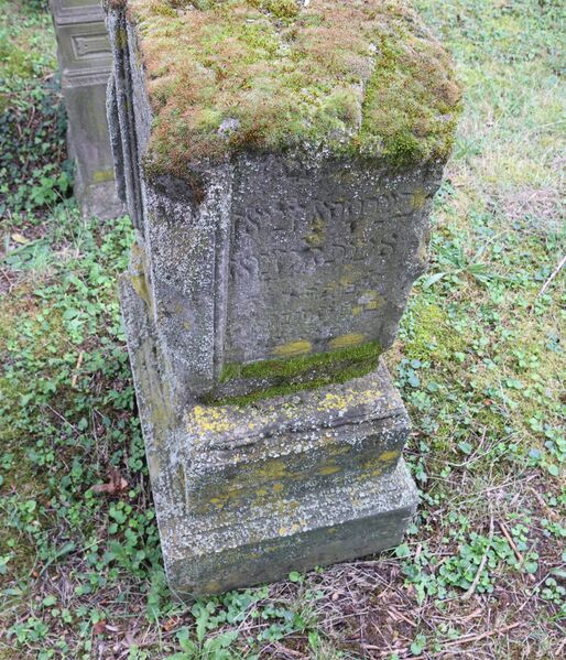 Datei:Foto cosi-06 SeiteR neu.JPG