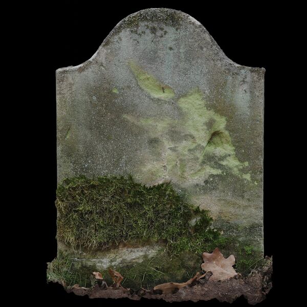 Datei:Aut-0035 Hinten SfM D.jpg