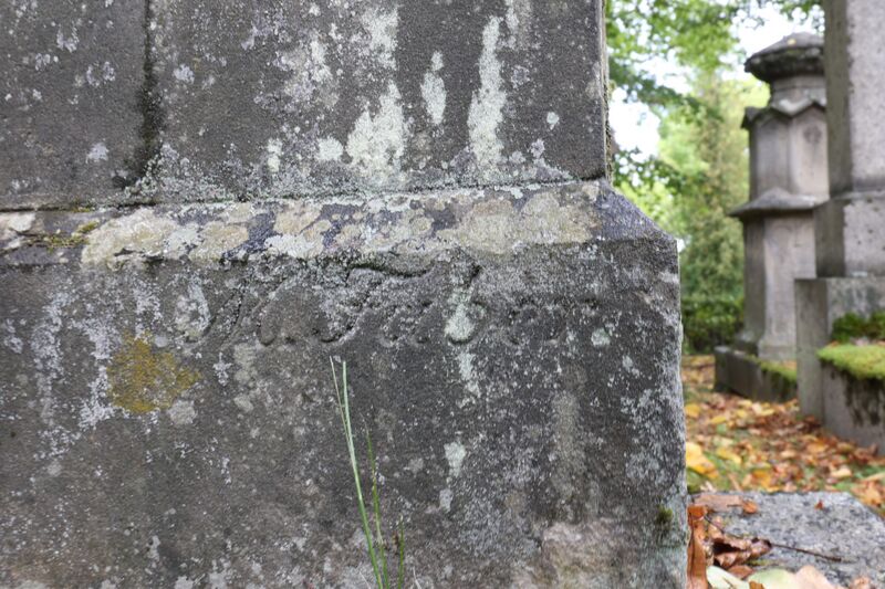 Datei:Cogl-041-Foto-Serie5-01 neu.JPG