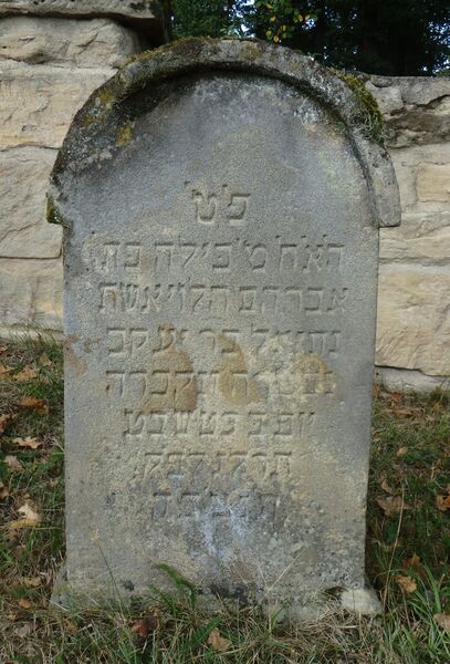 Datei:GS 08 aut-0015 Vs 20231004 by H. Habel (19) neu.jpg