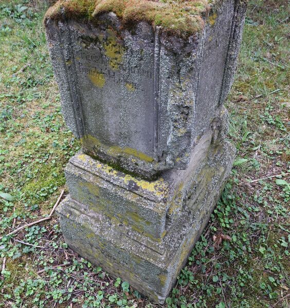 Datei:Foto cosi-06 SeiteL neu.JPG