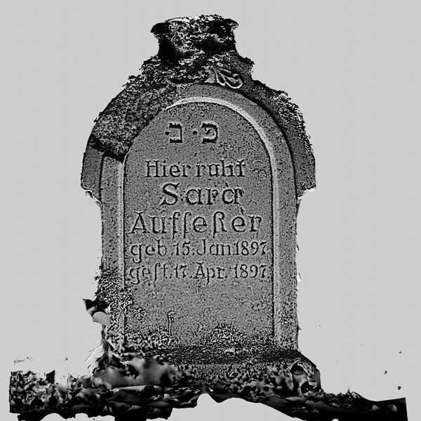 Datei:Afs115 SfM S1 P-SL-u.jpg