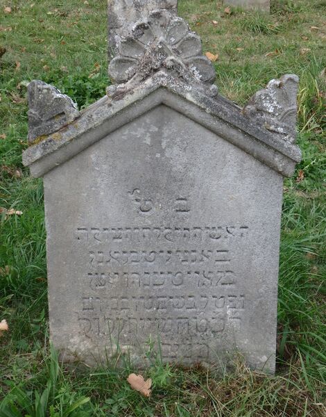 Datei:GS 64 aut-0086 Vs 20231005 by H. Habel neu.jpg