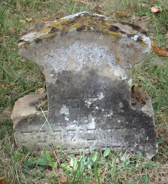 Datei:GS oNr aut-0030 Vs 20231004 by H. Habel neu.jpg