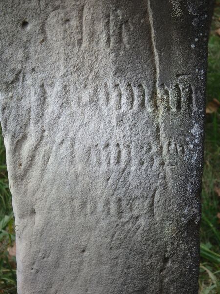 Datei:GS 52 aut-0072 li S d4 20231005 by H. Habel.JPG