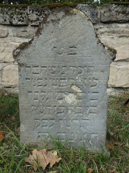 Datei:GS 10 aut-0012 Vs 20231004 by H. Habel.JPG