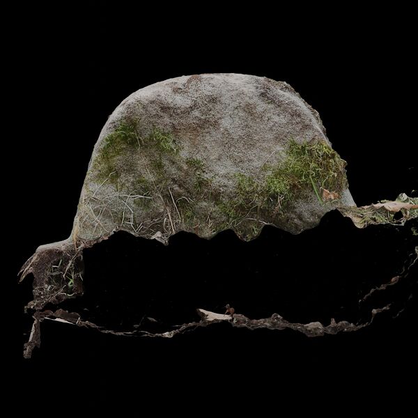 Datei:Aut-0032 Hinten SfM D.jpg