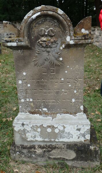 Datei:GS 42 aut-0082 Vs 20231005 by H. Habel neu.jpg