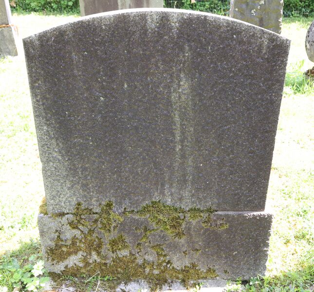 Datei:Cogl-159-Foto-Serie3-02 neu.jpg