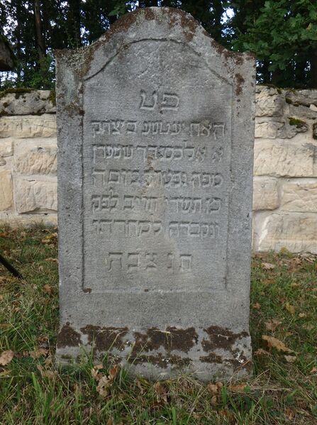 Datei:GS 05 aut-0019 Vs 20231004 by H. Habel neu.jpg