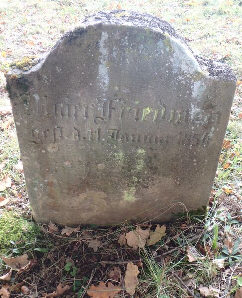 Datei:GS 03 aut-0021 Rs 20231004 by H. Habel neu.jpg