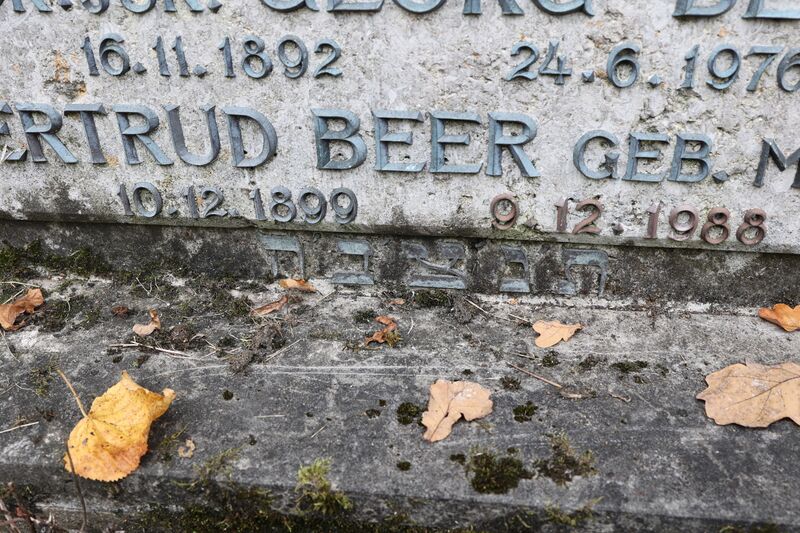 Datei:Cogl-161 185 186 211-Foto-07.JPG