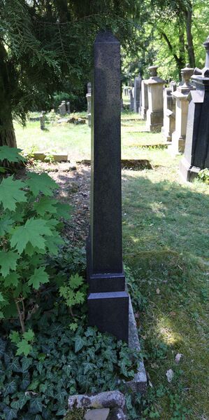 Datei:Cogl-199-Foto-Serie3-03 neu.jpg