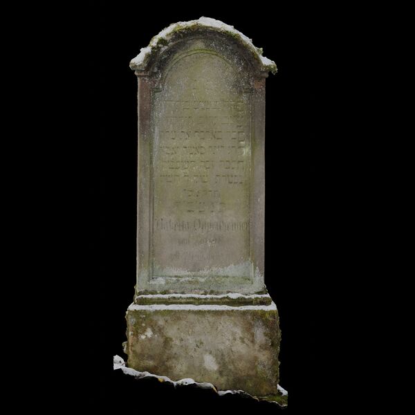 Datei:Afs101 SfM S1 D.jpg