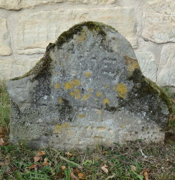 Datei:GS 16 aut-0017 Vs 20231004 by H. Habel neu.jpg