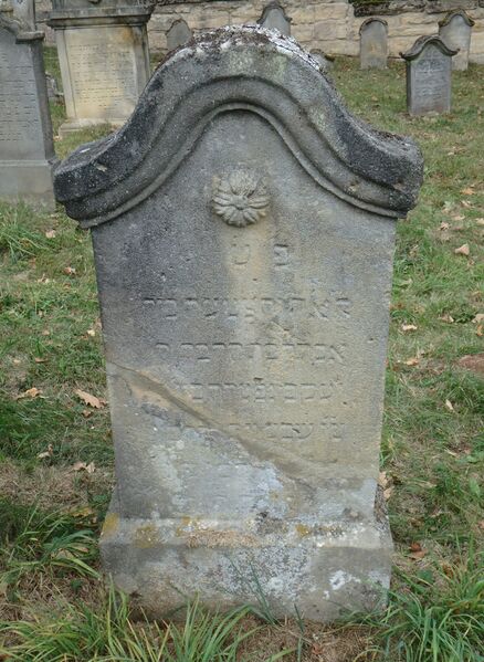 Datei:GS 51 aut-0073 Vs 20231005 by H. Habel neu.jpg