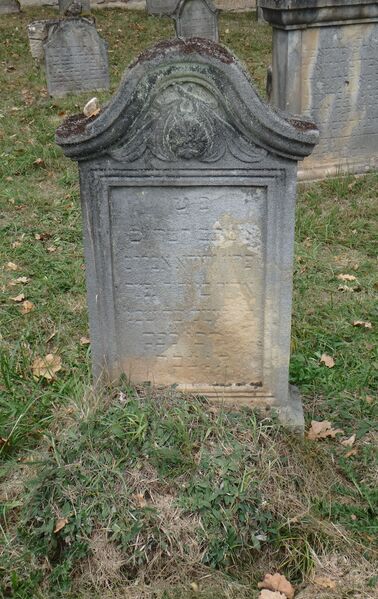 Datei:GS 47 aut-0077 Vs 20231005 by H. Habel neu.jpg