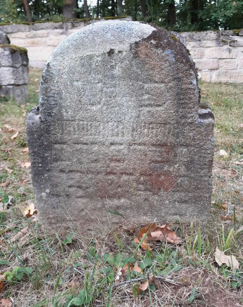 Datei:GS 26 aut-0056 Vs 20231004 by H. Habel neu.jpg