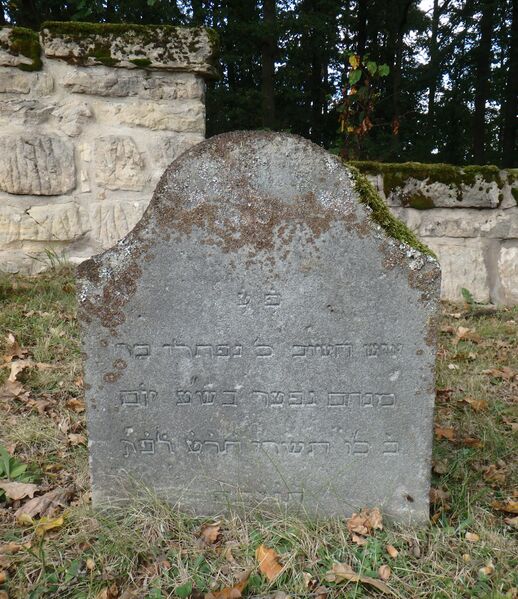 Datei:GS 02 aut-0022 Vs 20231004 by H. Habel neu.jpg