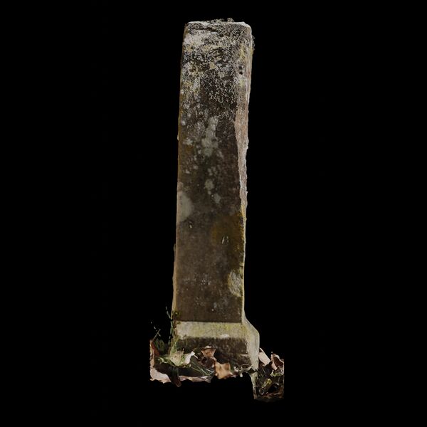 Datei:Aut-0007 Links SfM D.jpg